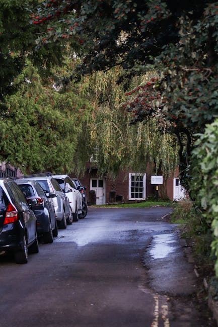 A narrow residential street with parked cars on the left side, including sedans and hatchbacks, with a row of trees and bushes overhead, creating a leafy canopy. The road appears slightly wet, possibly from recent rain, and there is a driveway leading to a brick house at the end of the street. The house features white window frames and a small white sign near the entrance. On the right side, dense foliage and shrubbery border the pavement. This scene illustrates a typical suburban setting suitable for house removals and home relocation services, with natural lighting and a calm environment. Man with Van Ickenham’s removals team may utilize such access routes for furniture transport and packing and moving operations through this type of environment, ensuring careful loading and unloading in residential areas aligned with the context of Hillingdon Council parking permits for Ickenham moves.