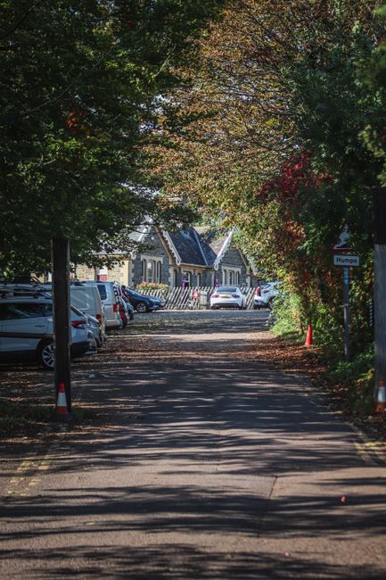 A quiet residential street shaded by green and autumn-colored trees, with parked cars lining both sides of the pavement. In the distance, a house with a dark roof and stone walls is visible, along with a row of parked vehicles. The scene suggests a typical suburban area in Ickenham, part of a house relocation or moving process nearby, where [COMPANY_NAME] might facilitate furniture transport or packing and moving services. The street is partly blocked by traffic cones, indicating possible loading or unloading activity during a home relocation. Sunlight filters through the leafy canopy, casting shadows on the street and highlighting the calm, organized environment suitable for professional removals or moving logistics.