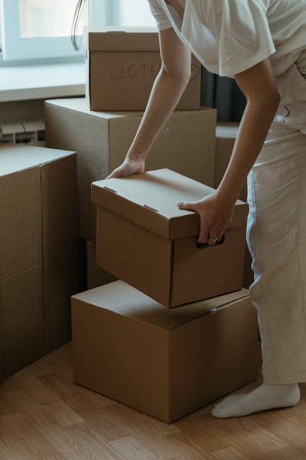 A professional removal service technician, dressed in dark clothing with an embroidered logo, is indoors in a bright, spacious room with large arched windows allowing natural light. He is smiling and